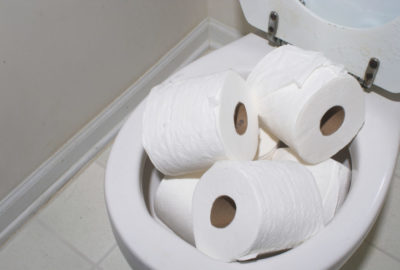 biologisch abbaubares toilettenpapier