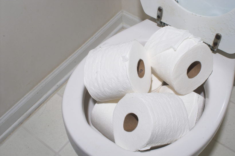 biologisch abbaubares toilettenpapier